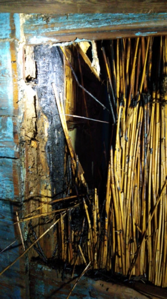 Камыш горит уже прямо в домах астраханцев