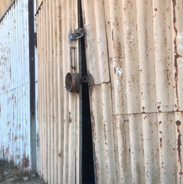 В Астрахани неизвестные попытались выпустить бродячих собак из пункта временного содержания