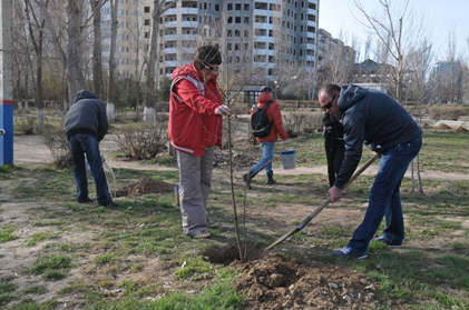На Комсомольской набережной высадили 200 кустарников и 30 дубов