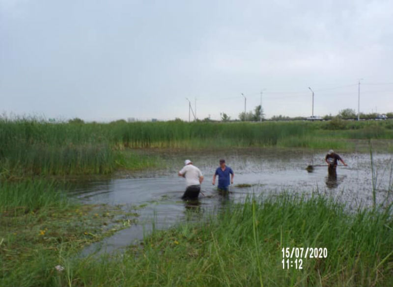 В 200 водоемах  Астраханской области есть угроза замора рыбы