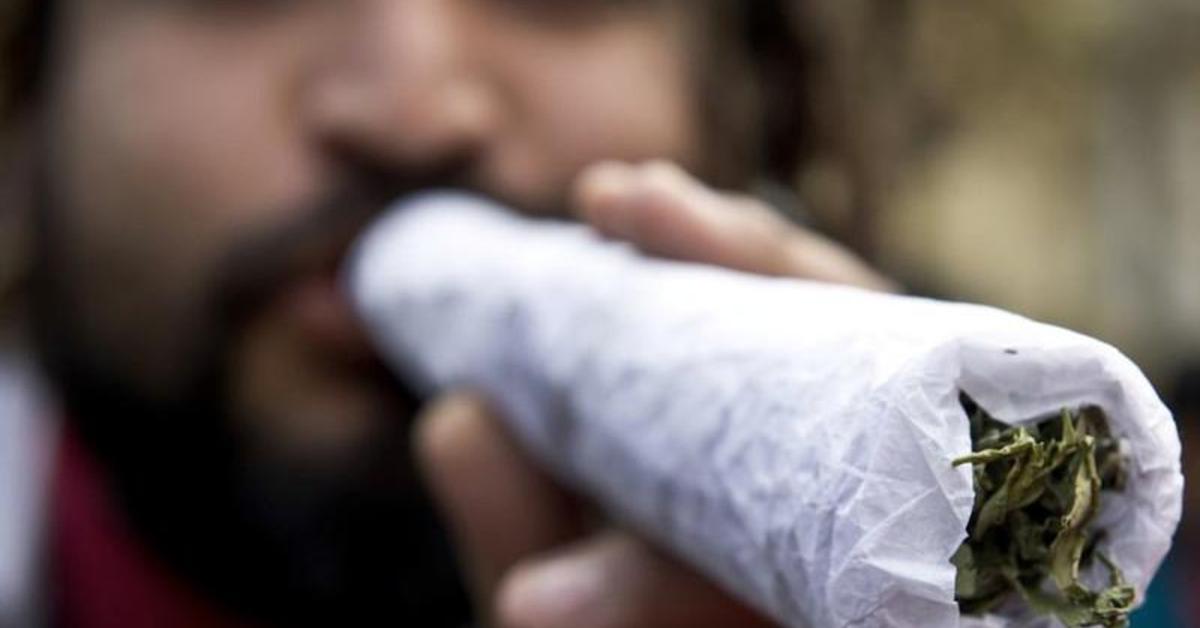 Астраханка с хорошим обонянием помогла раскрыть преступление