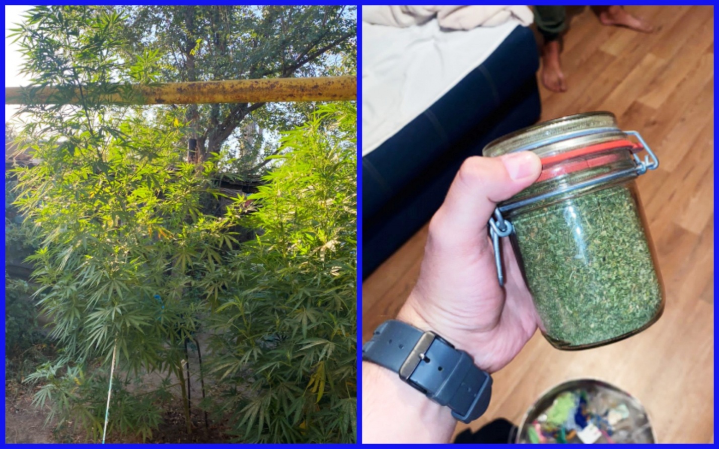 У 60-летнего астраханца полиция нашла 2,5 кг нарковеществ