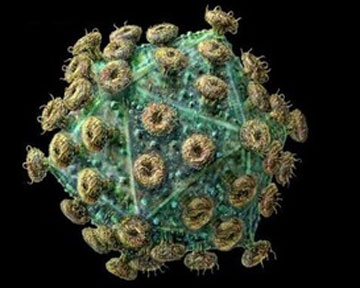 Эпидемия в Астрахани – корь скосила 15 студентов медакадемии