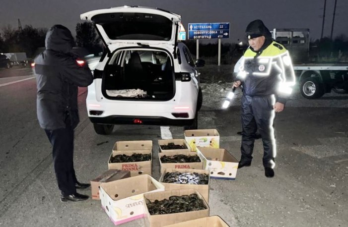 Астраханская полиция массово выпускает раков в водоемы