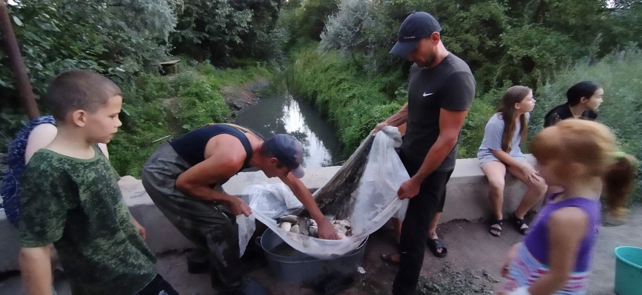 Из пересохшей астраханской речки спасли рыбу