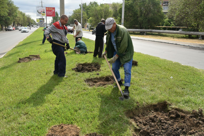 Клумба-гигант появится на одной из улиц Астрахани