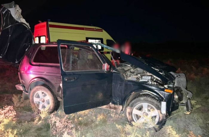 В полночь на юге Астраханской области из-за столкновения «Лады» с лошадью пострадали три человека