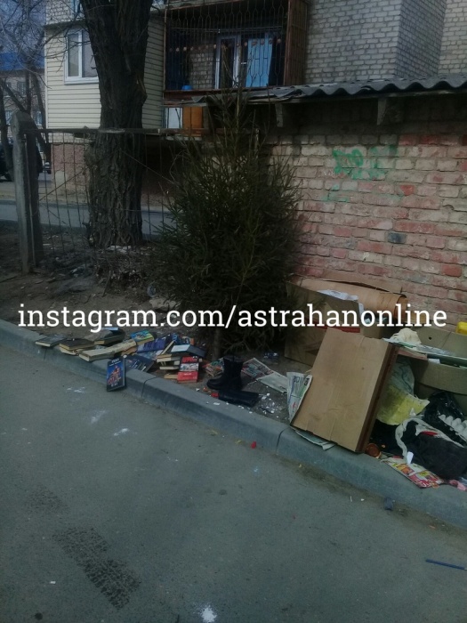 Фото дня: астраханцы сдались и выкинули ёлку