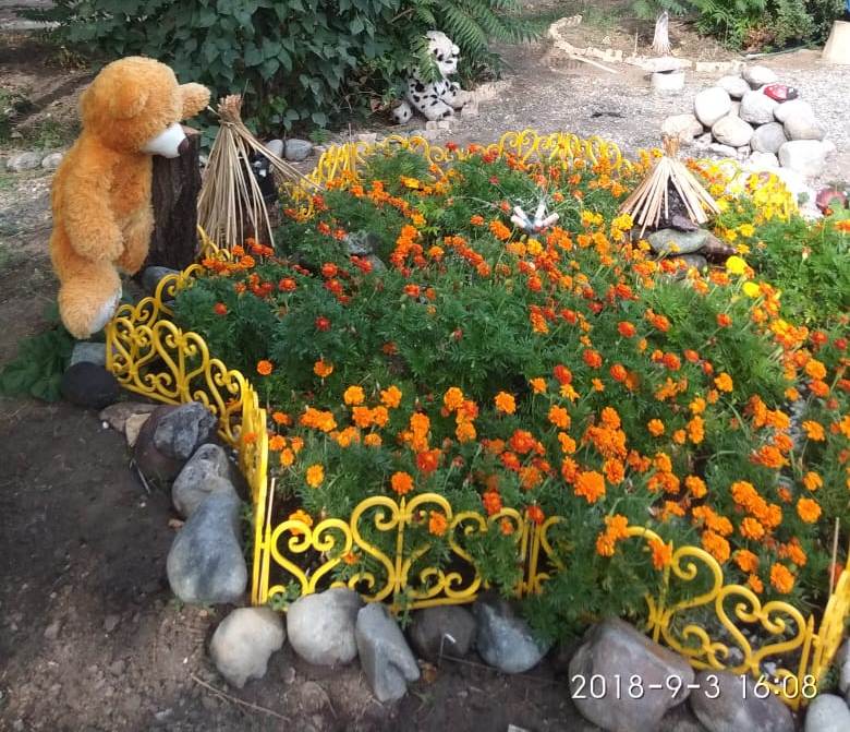 Как выглядят самые красивые дворы Астрахани