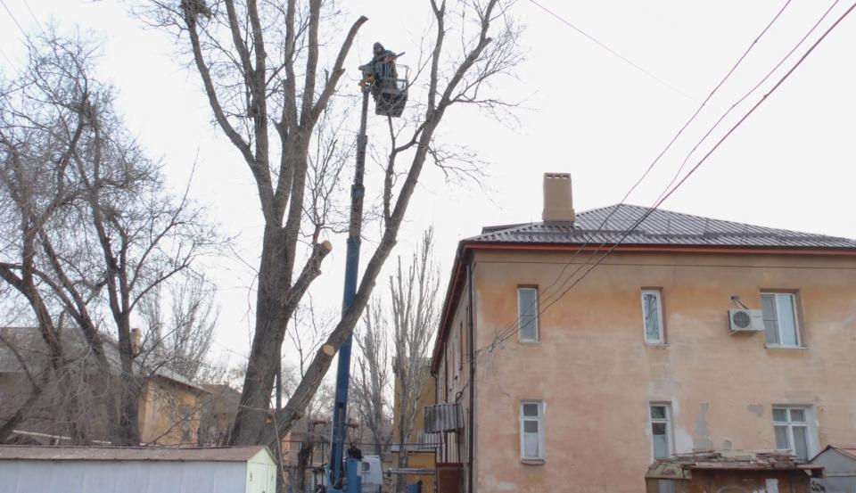 Жизни астраханцев угрожали деревья