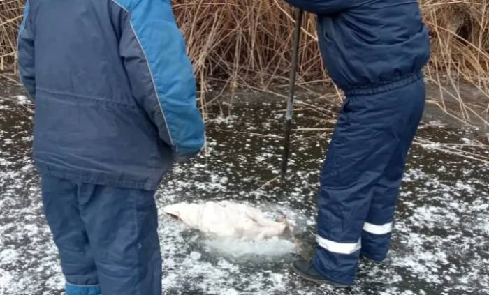 В Астрахани на ерике Солянка достали из-подо льда труп женщины