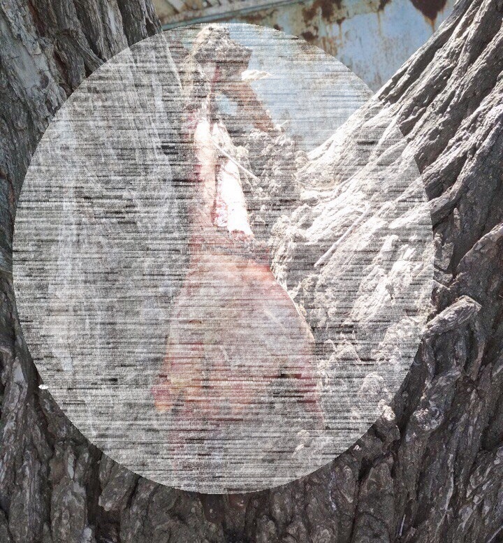 Подробности жуткой истории о найденной в Астрахани человеческой руке