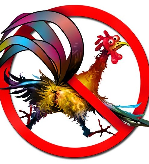 Тут митинговать нельзя