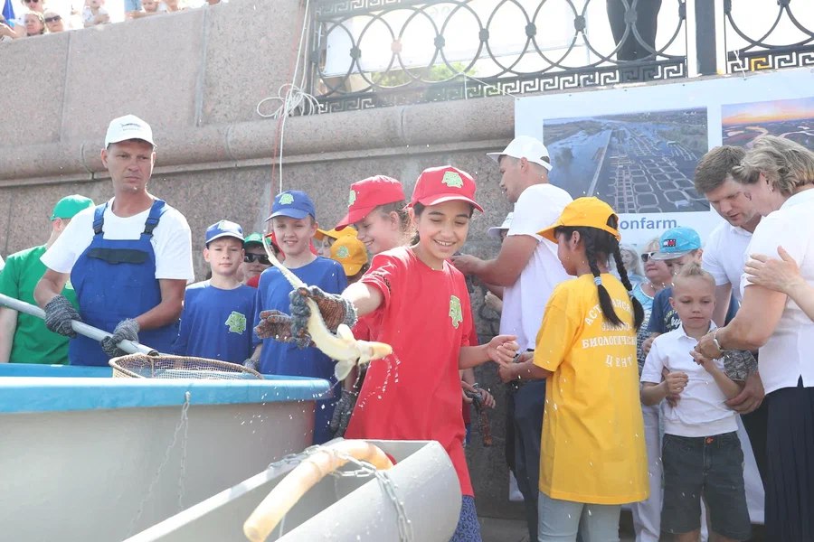 В Астрахани в Волгу выпустили 300 маленьких осетрят