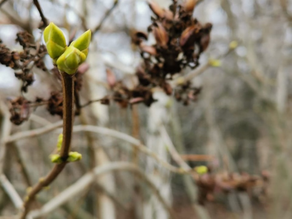 Завтра в Астрахани по-прежнему тепло, но ветром снесет