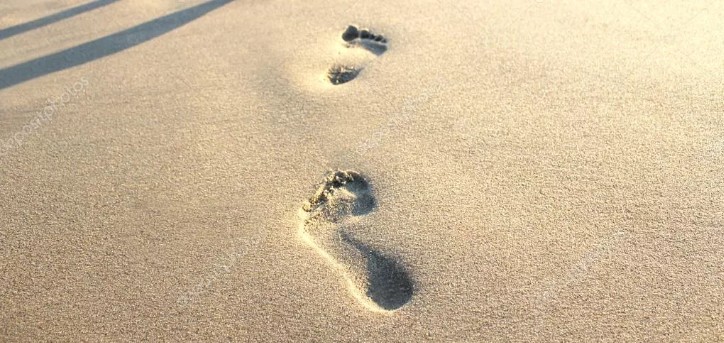 В Астраханской области служебный пес разыскал воришек с маленькими ножками