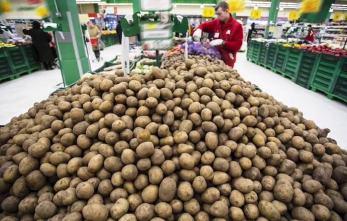 Битва за неурожай: в России стоимость картофеля доросла до исторического рекорда