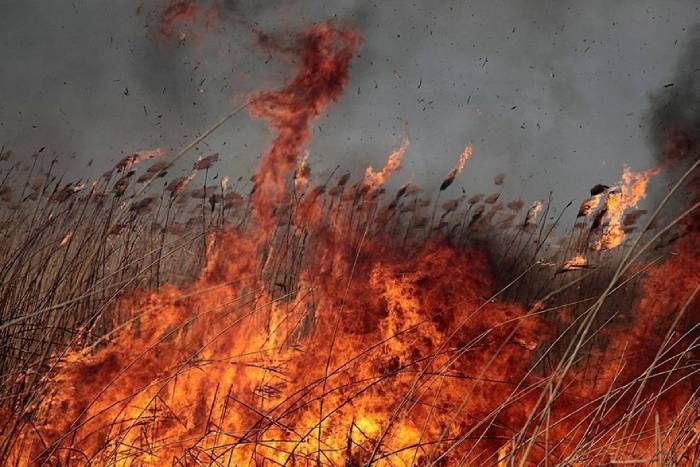 Из-за высокой пожароопасности в Астраханской области объявлено штормовое предупреждение