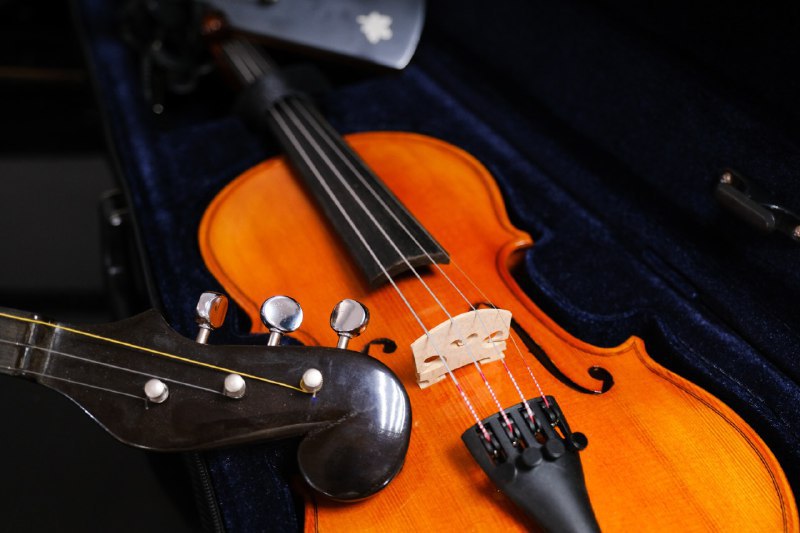 Астраханским школам искусств выделили 10 млн рублей на новые скрипки и балалайки 