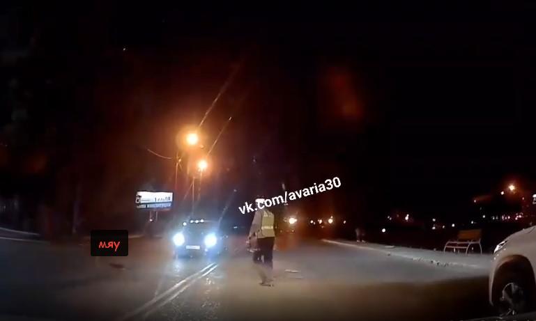 Видео дня: астраханские полицейские спасли котика