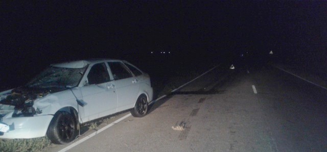 Под Астраханью корова стала причиной ДТП