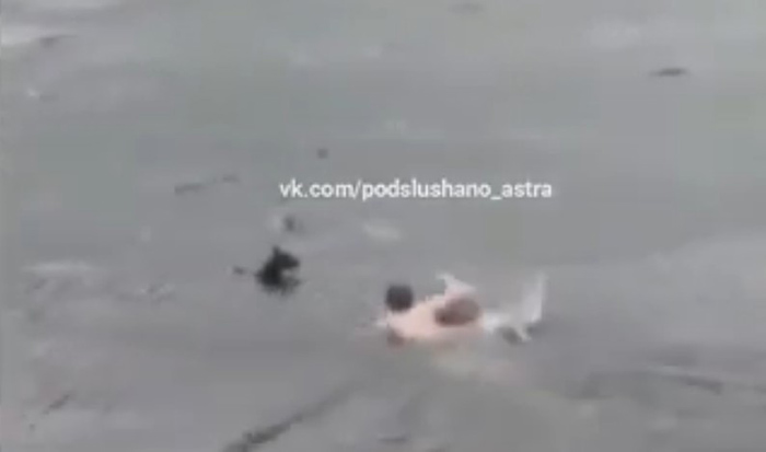 Астраханец бросился в ледяную воду, чтобы спасти собаку: видео