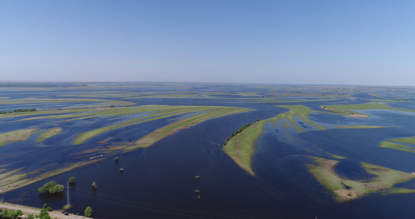 Записки астраханского натуралиста. Как Волжско-Камский каскад водохранилищ влияет на рыбные запасы