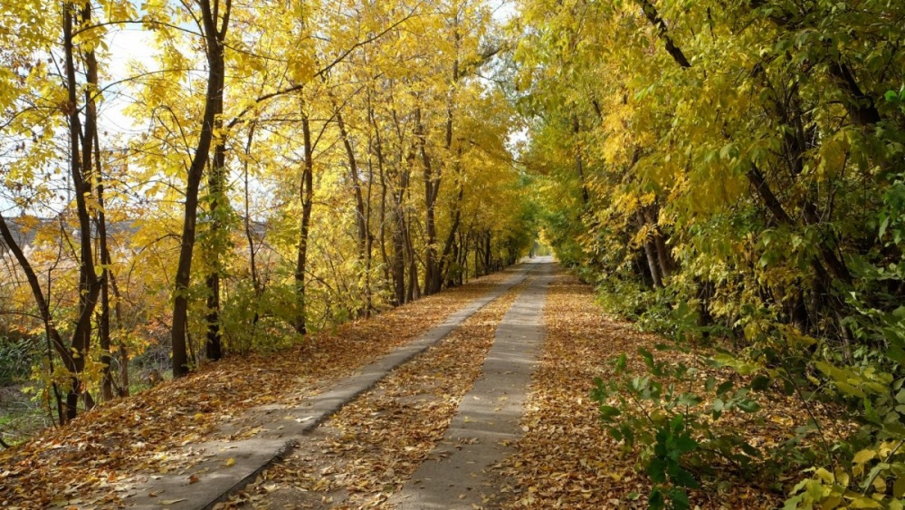 Сегодня в Астрахани ожидается аномальное для ноября тепло