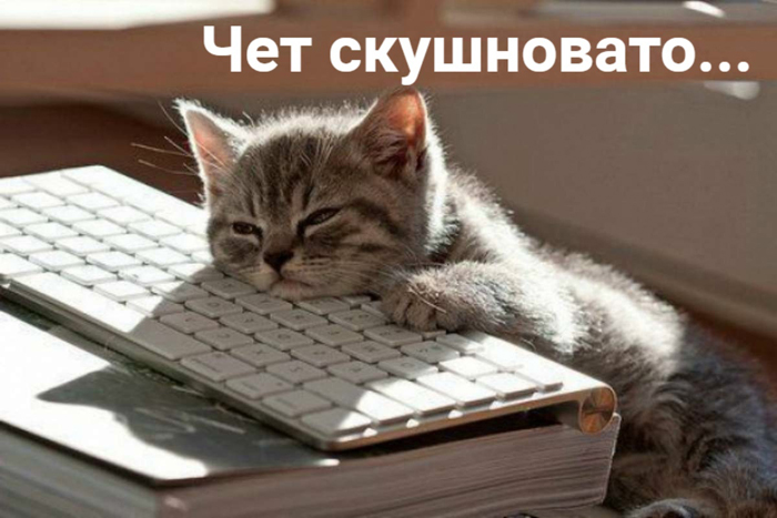 Рейтинг астраханских сайтов за август 2021: в Астрахани ничего не происходит