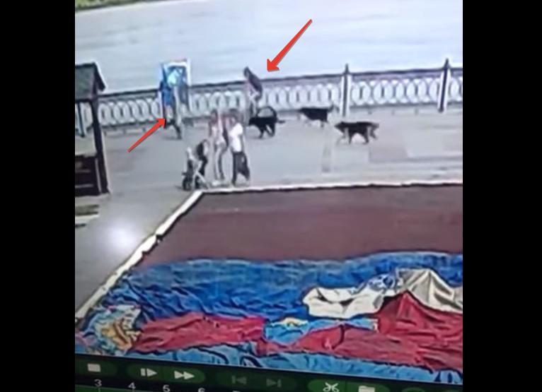 На набережной в Астрахани велосипедист испугался собак и на скорости сбил женщину: видео