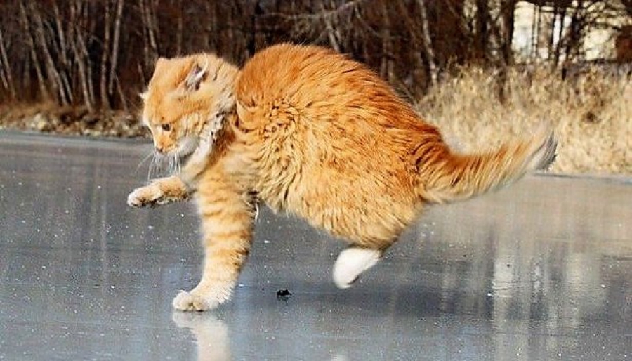 Меняйте резину, пока не поздно: синоптики обещают в Астрахани гололед