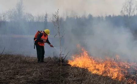 В Астраханской области объявлен пожароопасный сезон