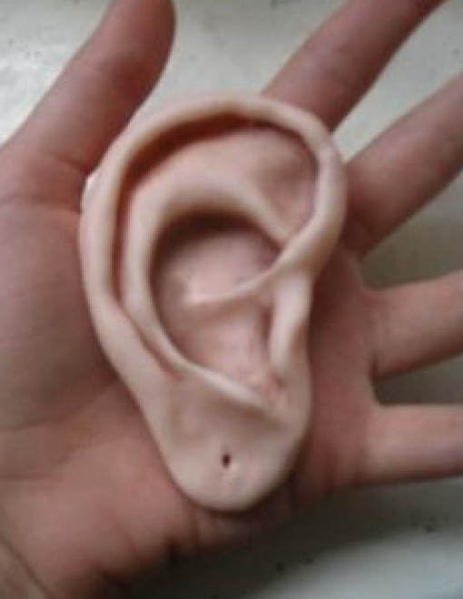 Астраханец, откусивший сопернику во время драки ухо, отправился в тюрьму на три года