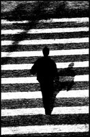 86% ЗА ШТРАФЫ ДЛЯ ПЕШЕХОДОВ. Из них половина – за жесткий штраф в 3000 рублей.