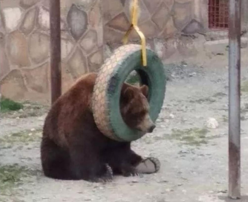 "Единая Россия" опять обновила минимум