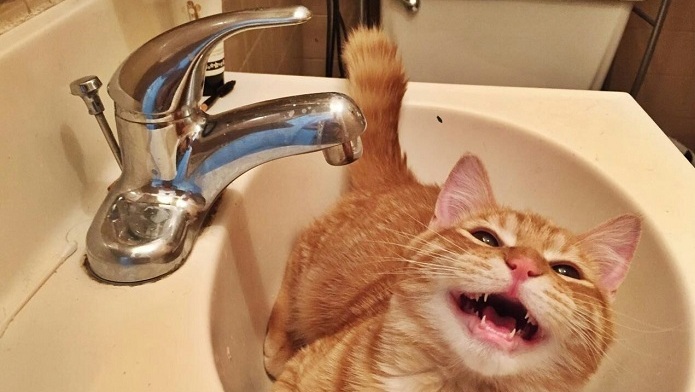 В конце апреля в Астрахани отключат холодную воду