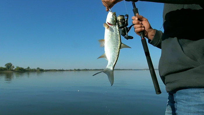 Журналист федерального издания обидел астраханскую рыбалку