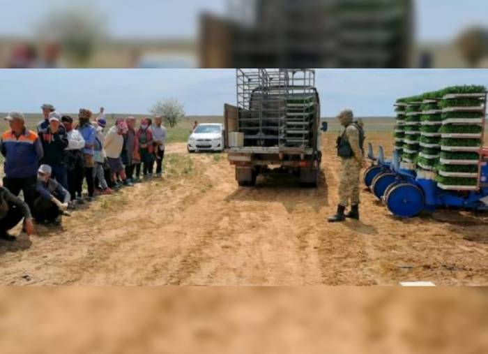 66 мигрантов из Узбекистана оштрафовали за незаконное выращивание овощей под Астраханью