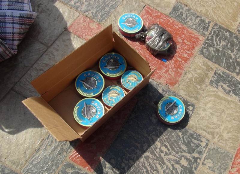 В Астрахани полицейские изъяли 2,5 килограмма черной икры