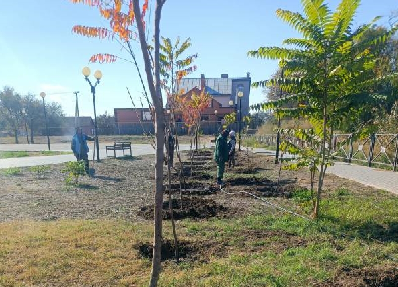 В парках Астрахани высадили полтысячи деревьев и кустарников