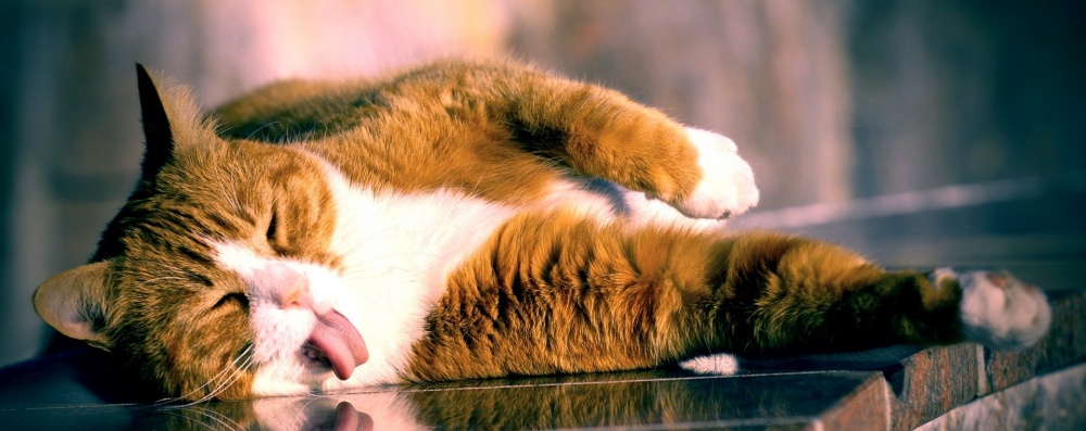 Во вторник астраханцев ждут жара и гроза