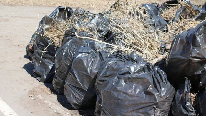 С астраханских улиц вывезли больше 6 тысяч тонн мусора