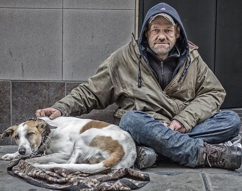 Астраханские реалии: на собак хотят выделить по 5400, а от министра шарахаются бомжи