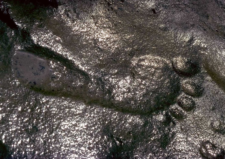 Под Астраханью в реке нашли еще одну человеческую ногу