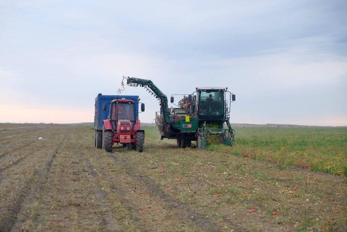 Астраханская область оказалась в лидерах по приросту числа фермеров