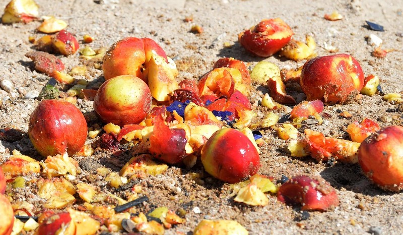 В Астраханской области уничтожили 7 тонн фруктов