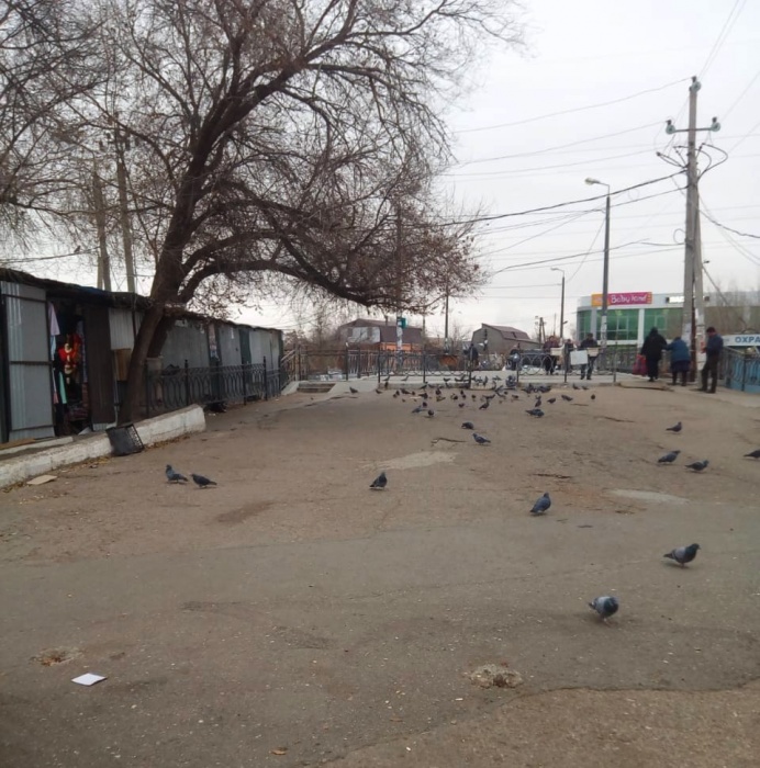 Скоро Большие Исады в Астрахани будет не узнать