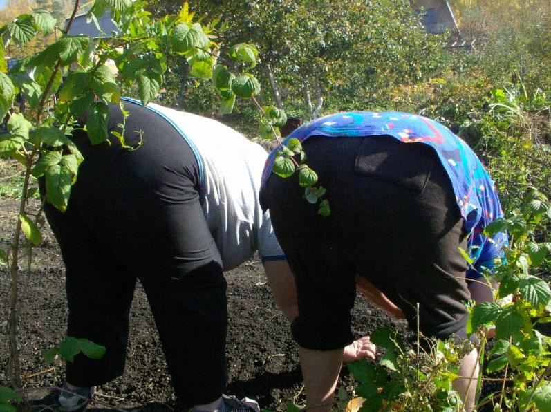 Астраханское правительство добивается безлимитки на завоз мигрантов