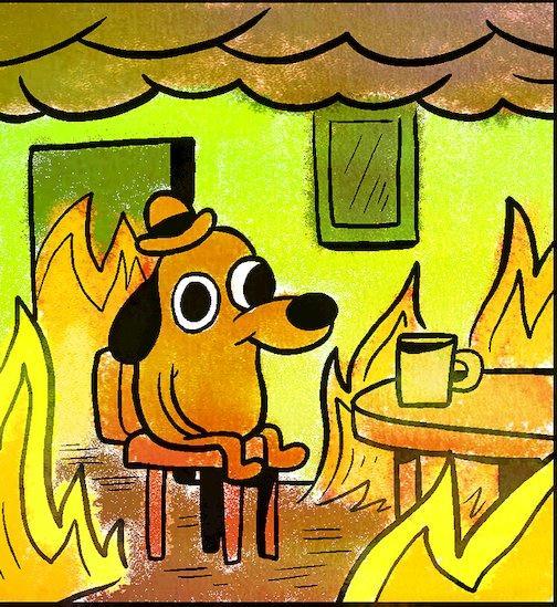 Губернатор озаботился жизнью собачьей