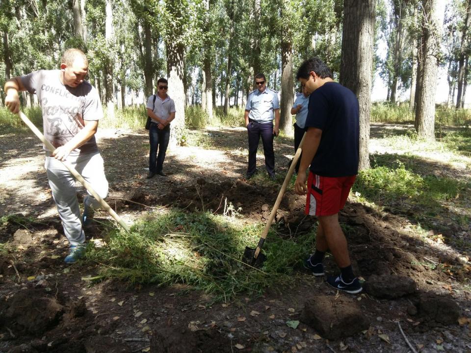 В Астрахани уничтожили 3 000 квадратных метров дикорастущей конопли